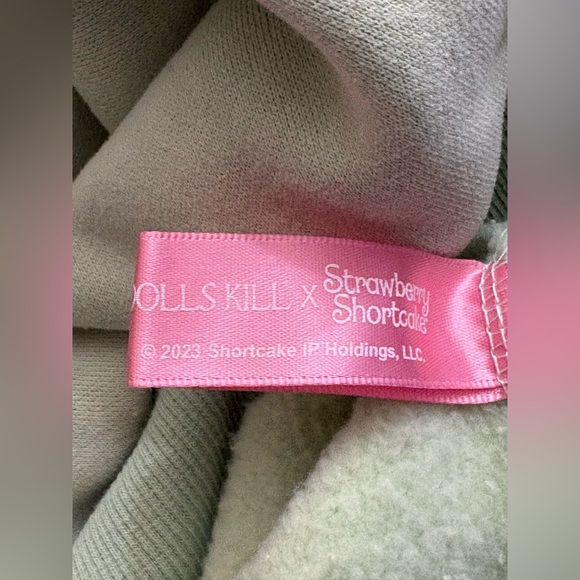 Dolls Kill Strawberry Shortcake Sweatshirt with lace & embroidery details. - Picture 9 of 16